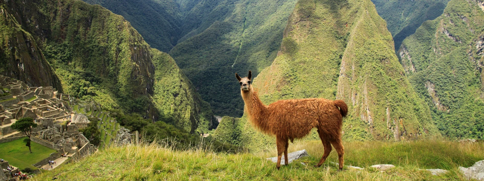 América do Sul
